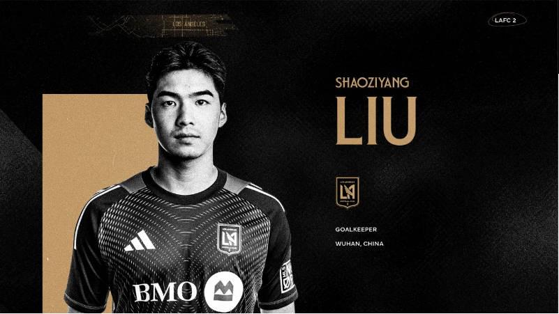 联赛, 有传闻称, Pro级别 联赛, 有传闻称, Pro级别