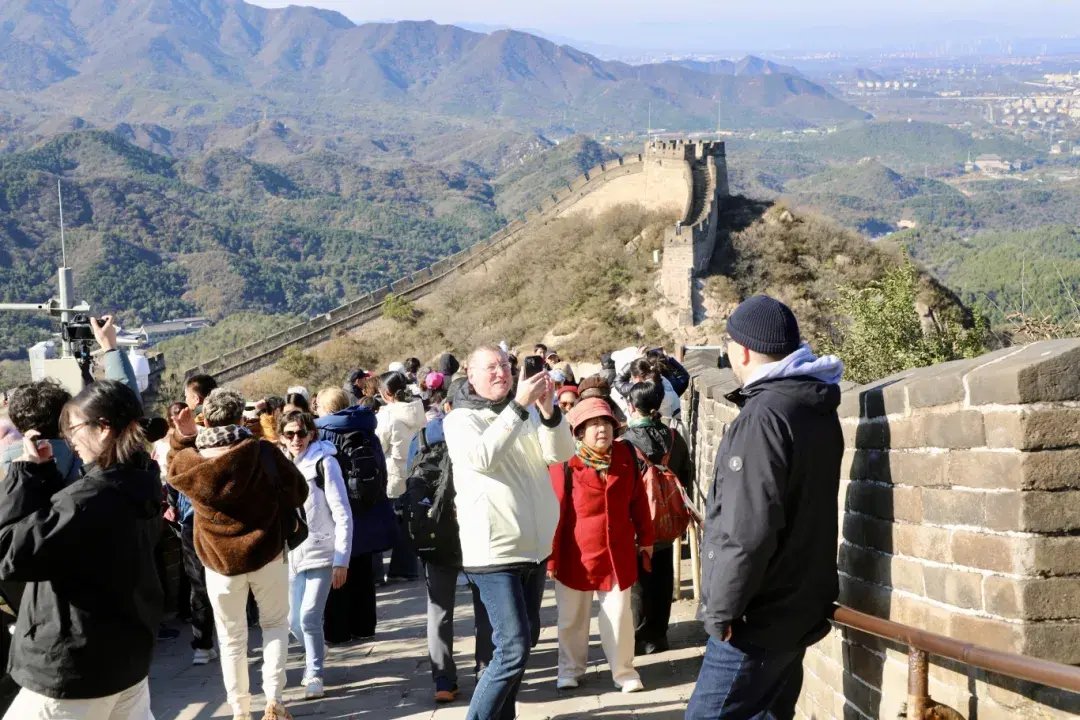 裁判们领略, 年世界花样